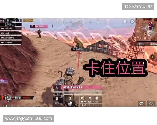 WE战队在和平精英中的战术调整与成绩变化分析