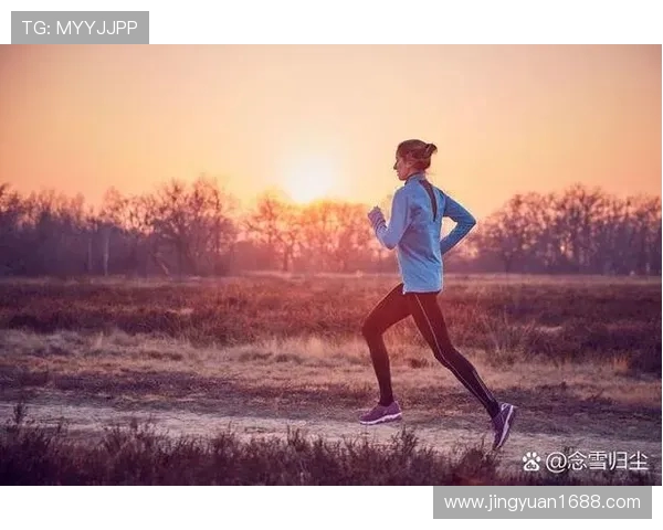 体育锻炼与身心健康：从运动到生活方式的全方位影响分析