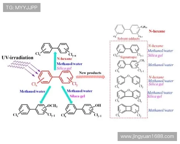 于德豪的创新之路：从平凡到卓越的成长故事与启示